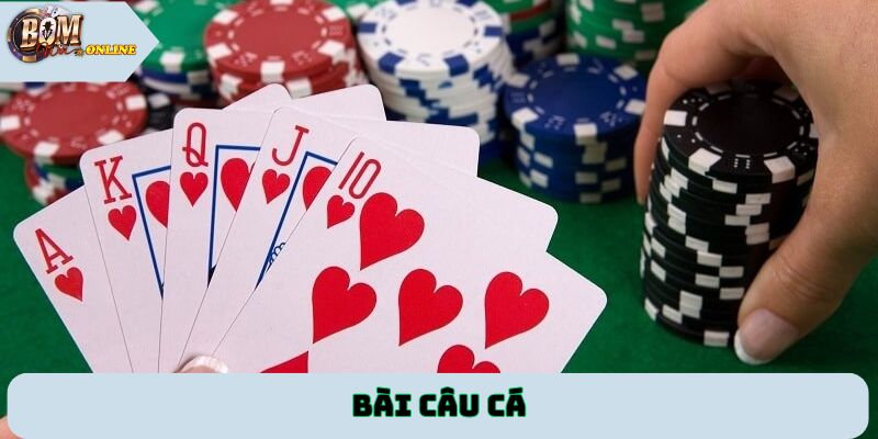 Bài câu cá