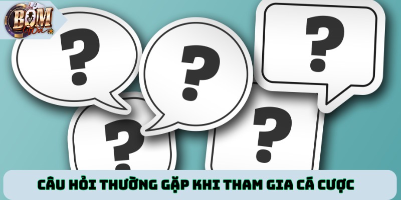 Câu hỏi thường gặp khi tham gia cá cược