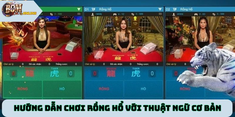 Làm quen hướng dẫn chơi Rồng Hổ với thuật ngữ cơ bản