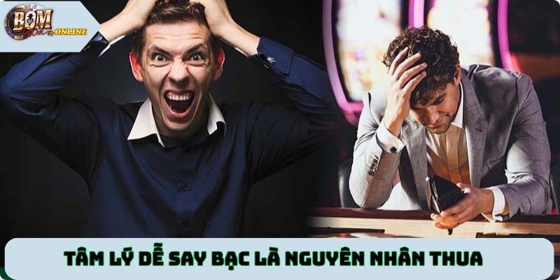 Tâm lý dễ say bạc là nguyên nhân thua