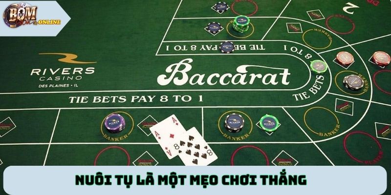 Nuôi tụ là một mẹo chơi thắng