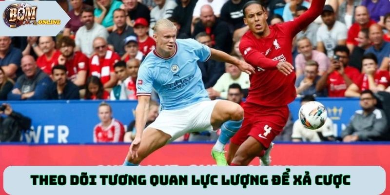 Theo dõi tương quan lực lượng để xả cược